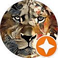 Google Profilbild von e-motion Kunde Marvin