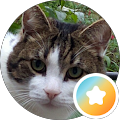 Google Profilbild von e-motion Kunde Ralph Blum