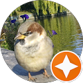 Google Profilbild von e-motion Kunde Meike Spitzky