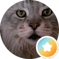 Google Profilbild von e-motion Kunde Gabi