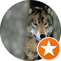 Google Profilbild von e-motion Kunde Andi Wolf