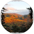 Google Profilbild von e-motion Kunde Bööörni