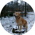 Google Profilbild von e-motion Kunde Sabine Drumm