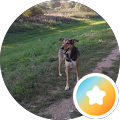 Google Profilbild von e-motion Kunde AR 0815