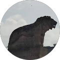 Google Profilbild von e-motion Kunde Andre Käseberg
