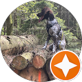 Google Profilbild von e-motion Kunde Christoph