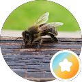 Google Profilbild von e-motion Kunde Walter Buhsmann