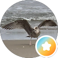 Google Profilbild von e-motion Kunde Tan Wilms