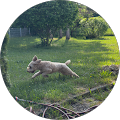 Google Profilbild von e-motion Kunde Klaus Kleber