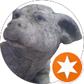 Google Profilbild von e-motion Kunde Frank Z.