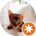 Google Profilbild von e-motion Kunde Christine