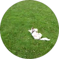 Google Profilbild von e-motion Kunde ourse2000