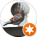 Google Profilbild von e-motion Kunde Michael Mauch