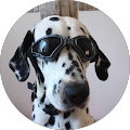 Google Profilbild von e-motion Kunde Guido Köhler