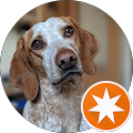 Google Profilbild von e-motion Kunde René Märten
