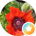 Google Profilbild von e-motion Kunde s. jopperfrau