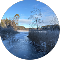 Google Profilbild von e-motion Kunde Heike K.