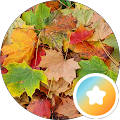 Google Profilbild von e-motion Kunde J J
