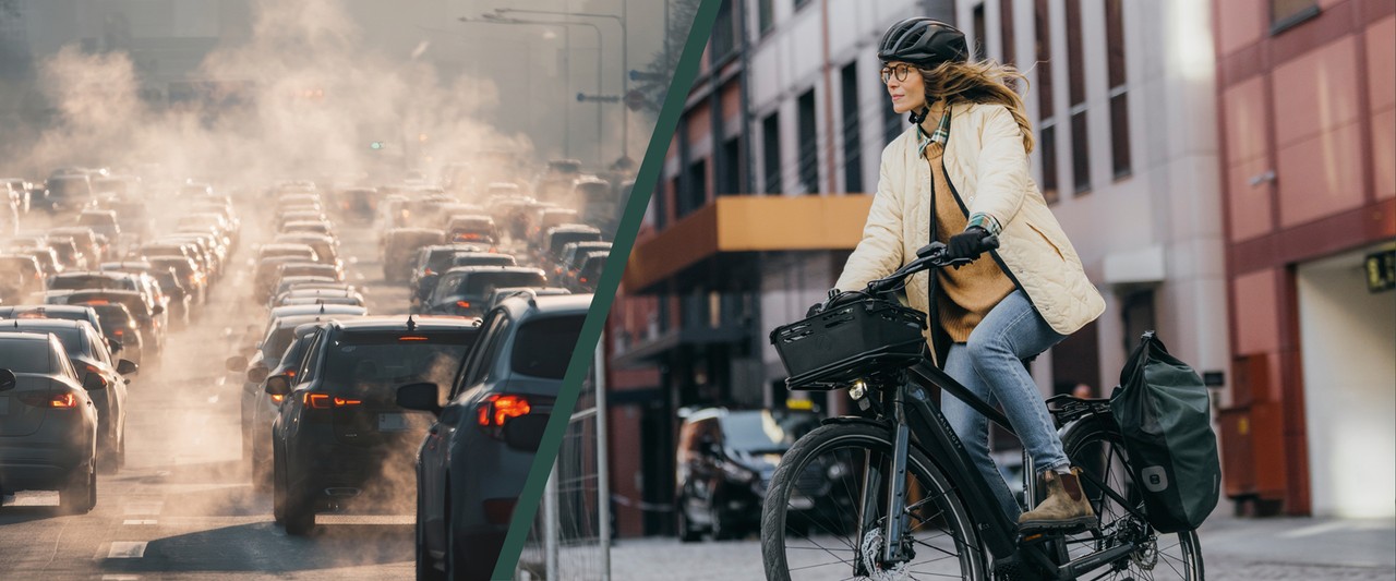 071291f28f8896879a1cf56a01f06de9 dz Van Raam kaufen