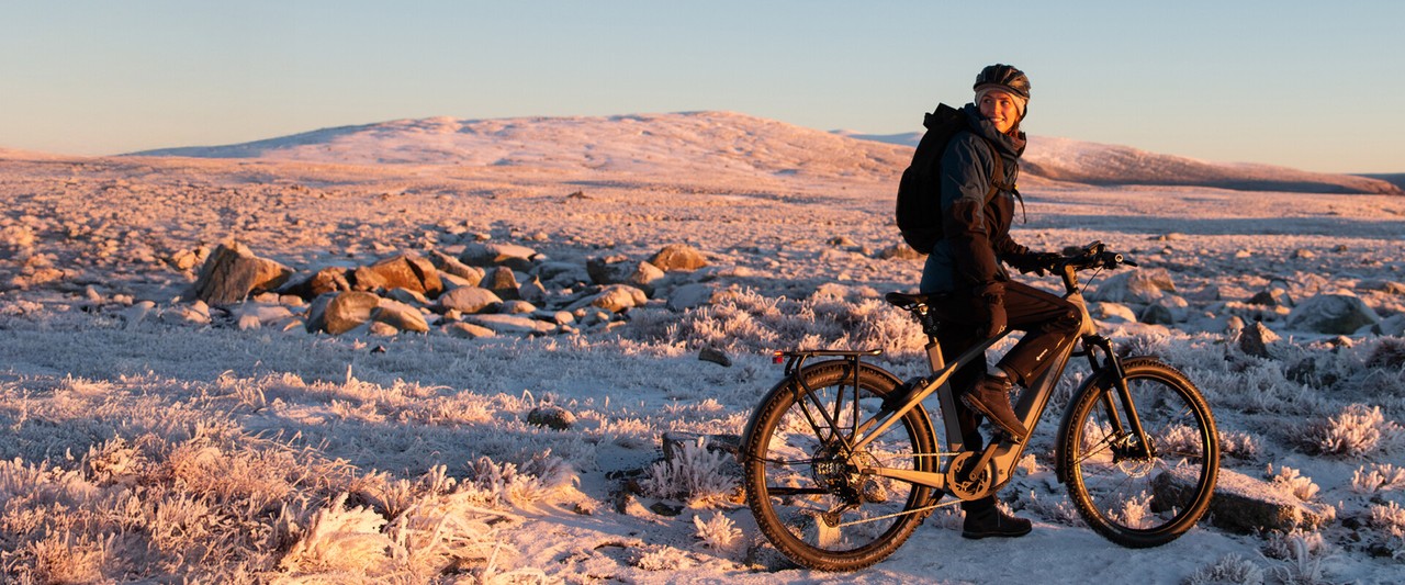 080d04742bfc1322ae67548cb12c525a638ab404 dz Elektro Dreirad für Erwachsene