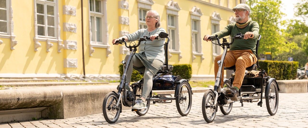 0a0627ea89665718bf2e59a64dc339b30d4eb43f dz Elektro Dreirad für Erwachsene