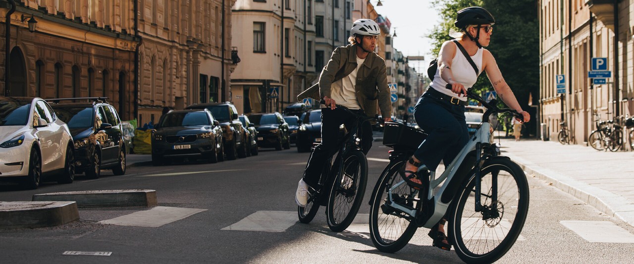 162d5a5c6a71f506a380afb28d52b1573baaefc6 dz Van Raam kaufen in München