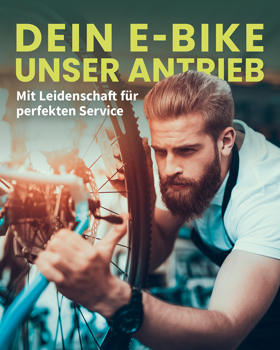 3d36a4290c83fc2971c073f34948077f Dreirad Fahrrad