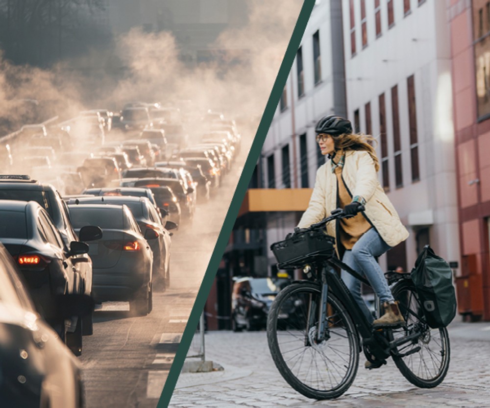 8e9cd786a7fefb0957096038fa6a73f8 dz Hamm