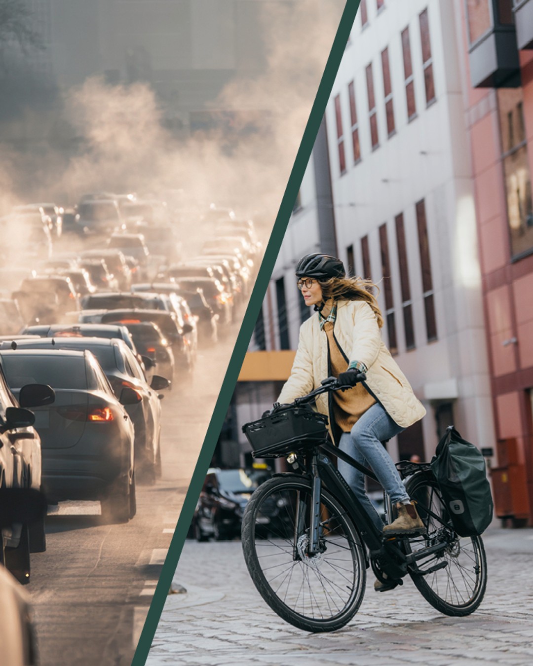 c504d3b06e17f9c901d2a14413de7b3d scaled pfautec kaufen