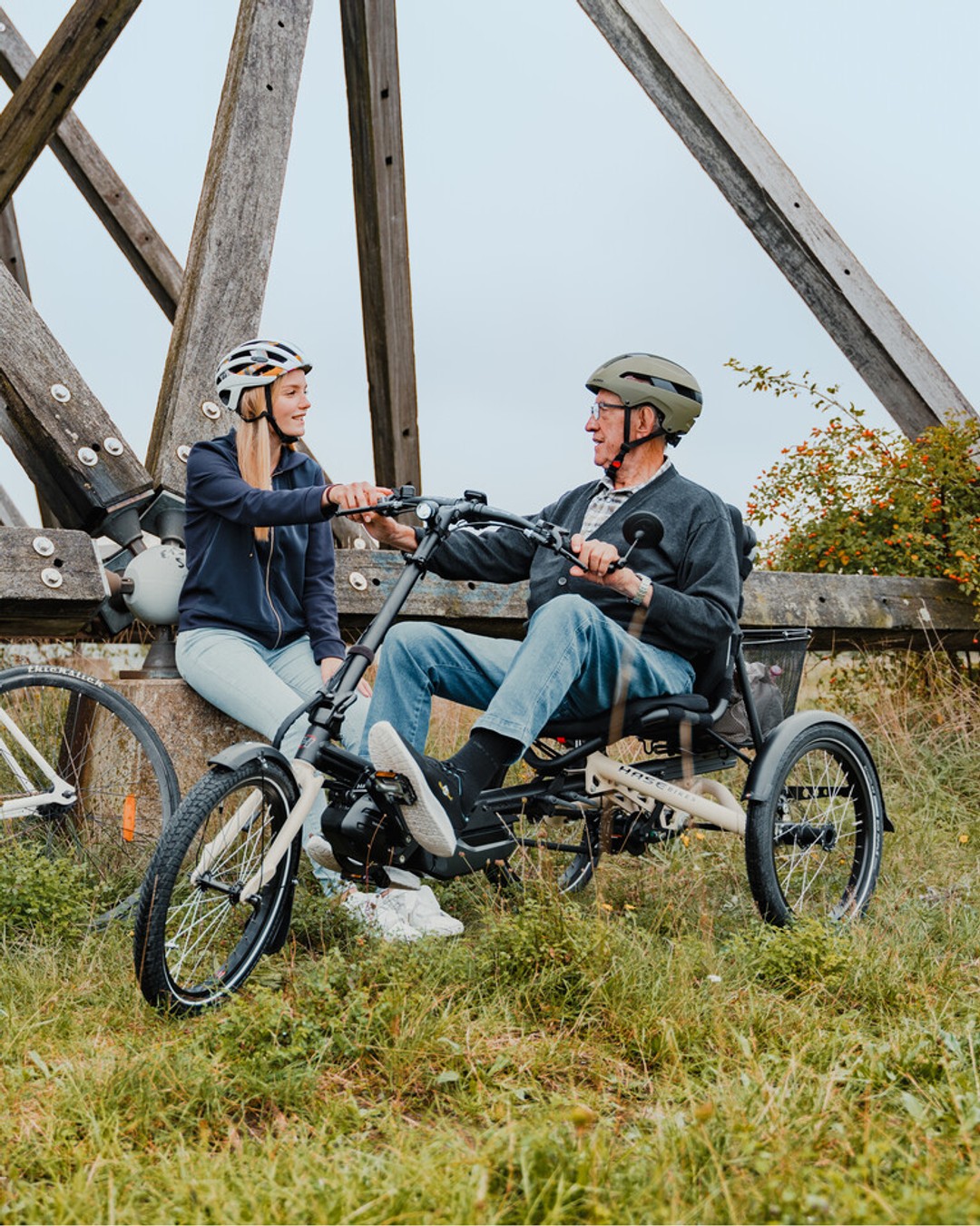 e1edda204479ab1c3e8d5c24735bbc5ec0dbe52d scaled Van Raam kaufen