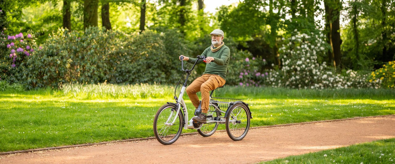 e236b71fe628e9a6fec7e973375355af124f6afd dz Elektro Dreirad kaufen