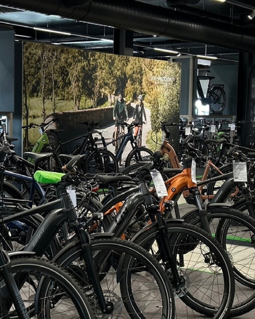 fc4ba5a758fb2df6b2e303d58444bbab3024cf23 dz Dreirad Fahrrad